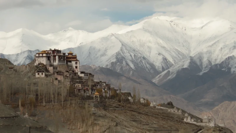 Matho village in Ladakh is famous for its monastery,